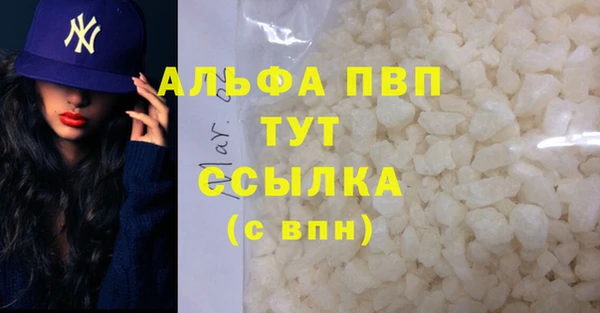 ГАЛЛЮЦИНОГЕННЫЕ ГРИБЫ Инсар