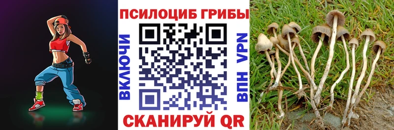 где продают наркотики  Каменка  Галлюциногенные грибы MAGIC MUSHROOMS 