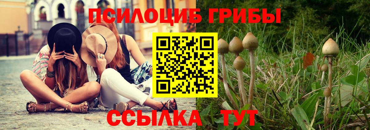Галлюциногенные грибы прущие грибы  Вход с VPN  Каменка 