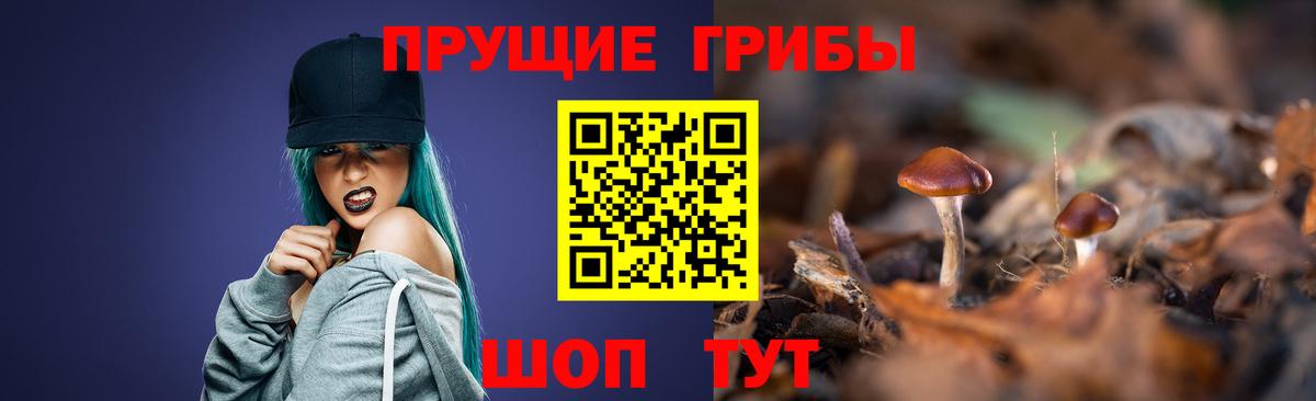 Псилоцибиновые грибы мухоморы Каменка