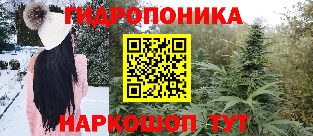 МАРИХУАНА конопля Каменка